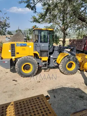 XCMG Zl50gn Loader