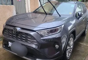 Toyota RAV4 Adventure AWD 2020 Gray