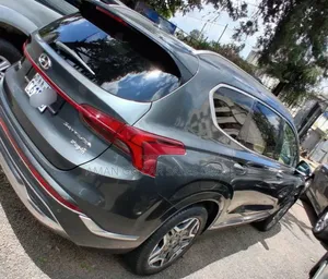 Hyundai Santa Fe 2023 Purple