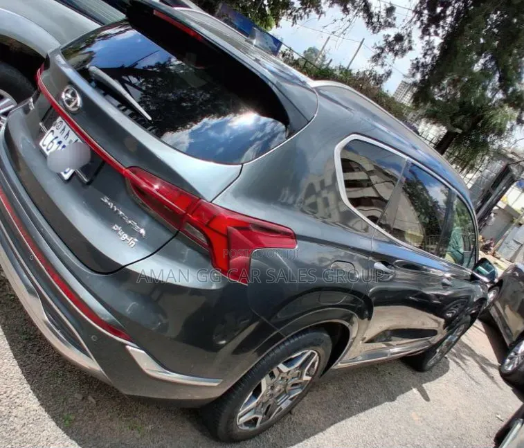 Hyundai Santa Fe 2023 Purple