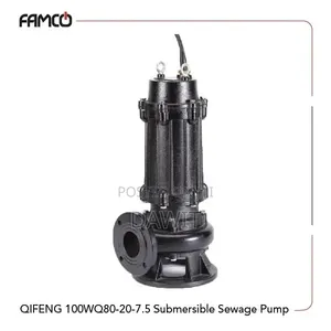 Submersible Sewage Pump