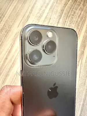 Apple iPhone 13 Pro 256 GB Gray