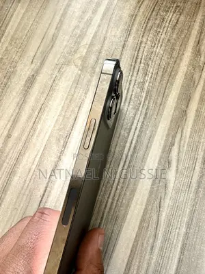 Apple iPhone 13 Pro 256 GB Gray