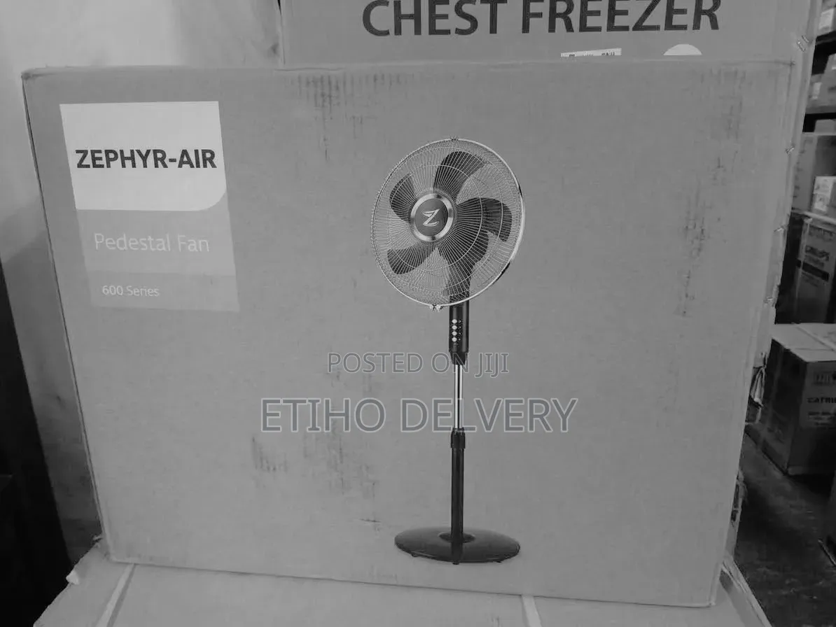 The Image Shows the Philips Series 600 Pedestal Fan (Model ACP620/00),