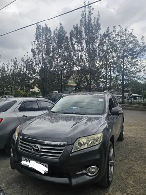 Toyota RAV4 2011 Gray