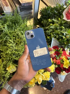 Apple iPhone 13 128 GB Blue