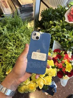 Apple iPhone 13 128 GB Blue