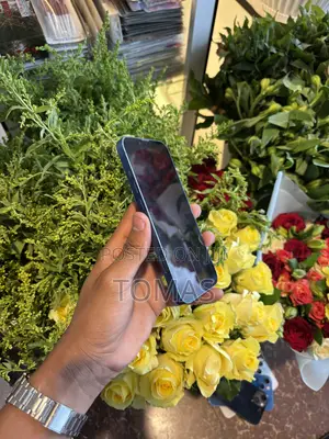 Apple iPhone 13 128 GB Blue