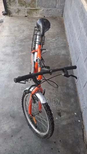 VIVA 20-Inch Kids Bicycle የልጆች ሳይክል በቅናሽ