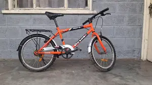 VIVA 20-Inch Kids Bicycle የልጆች ሳይክል በቅናሽ