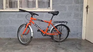 VIVA 20-Inch Kids Bicycle የልጆች ሳይክል በቅናሽ