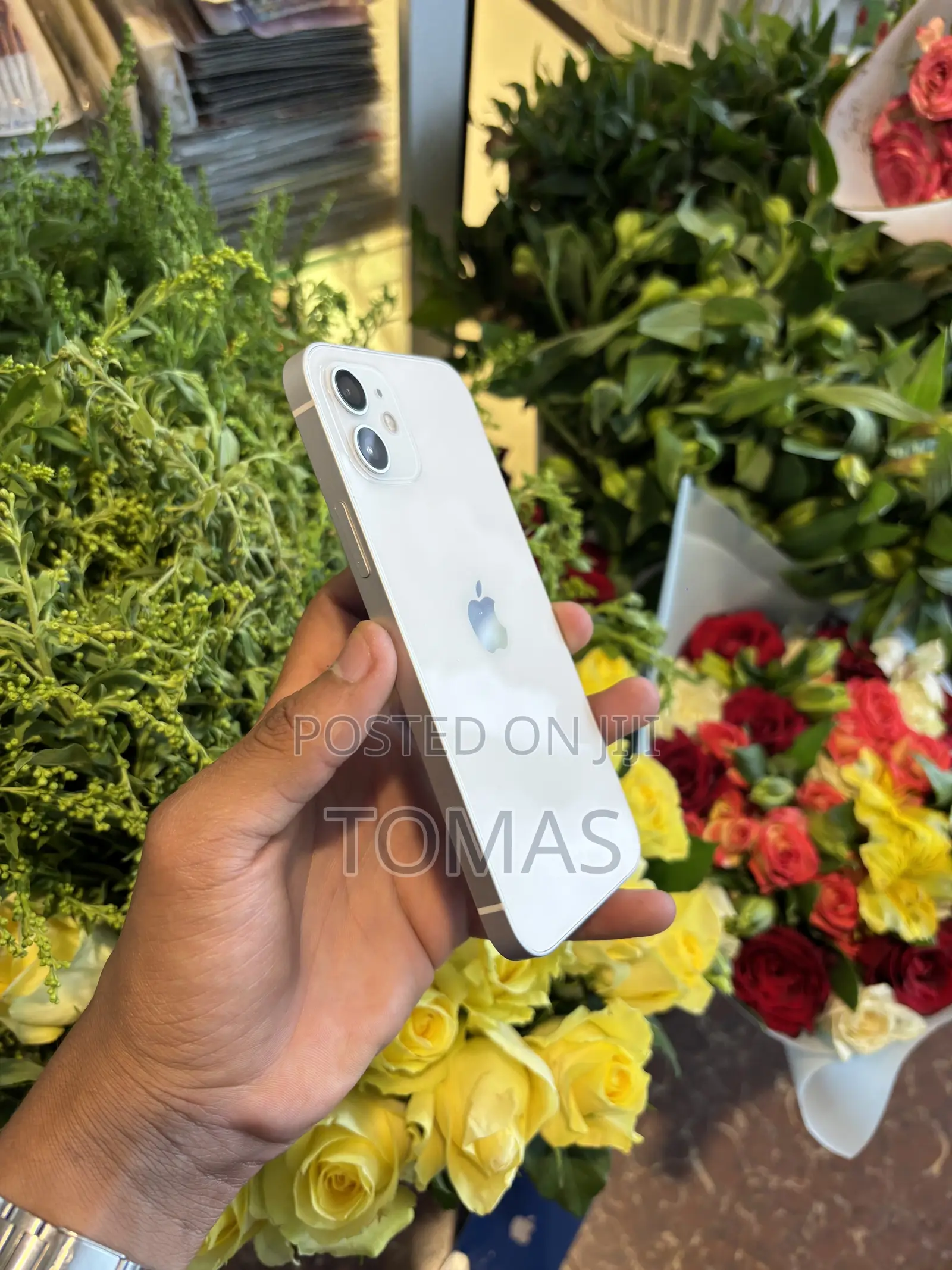 Apple iPhone 12 128 GB White