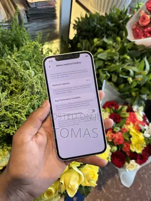 Apple iPhone 12 128 GB White