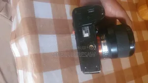 Sony Alpha 7iii