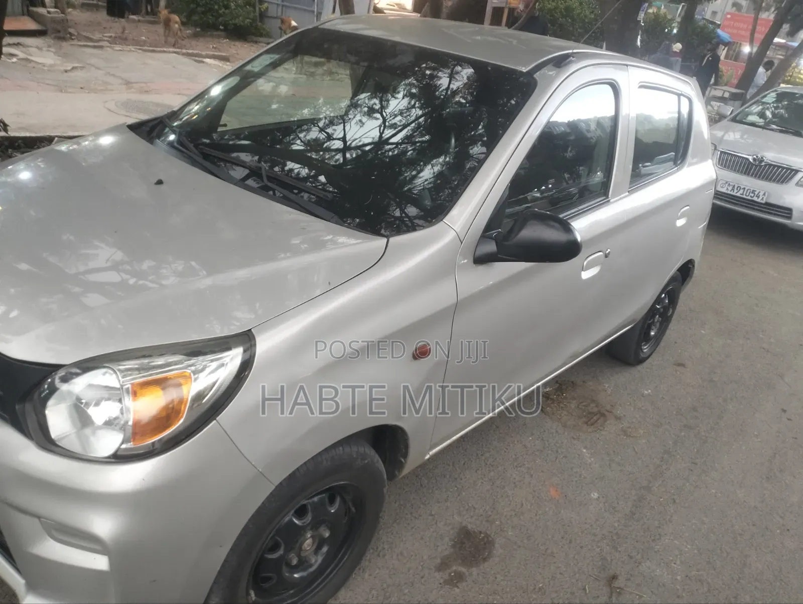 Suzuki Alto 2021 Silver