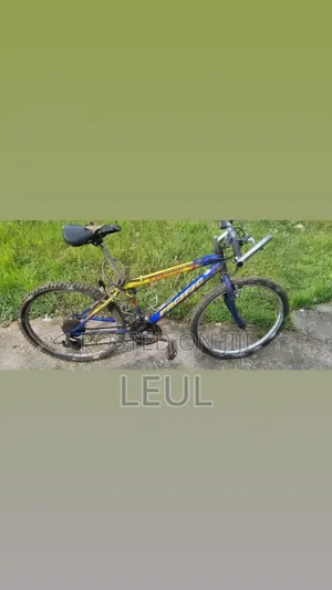 Bicycle Almost New