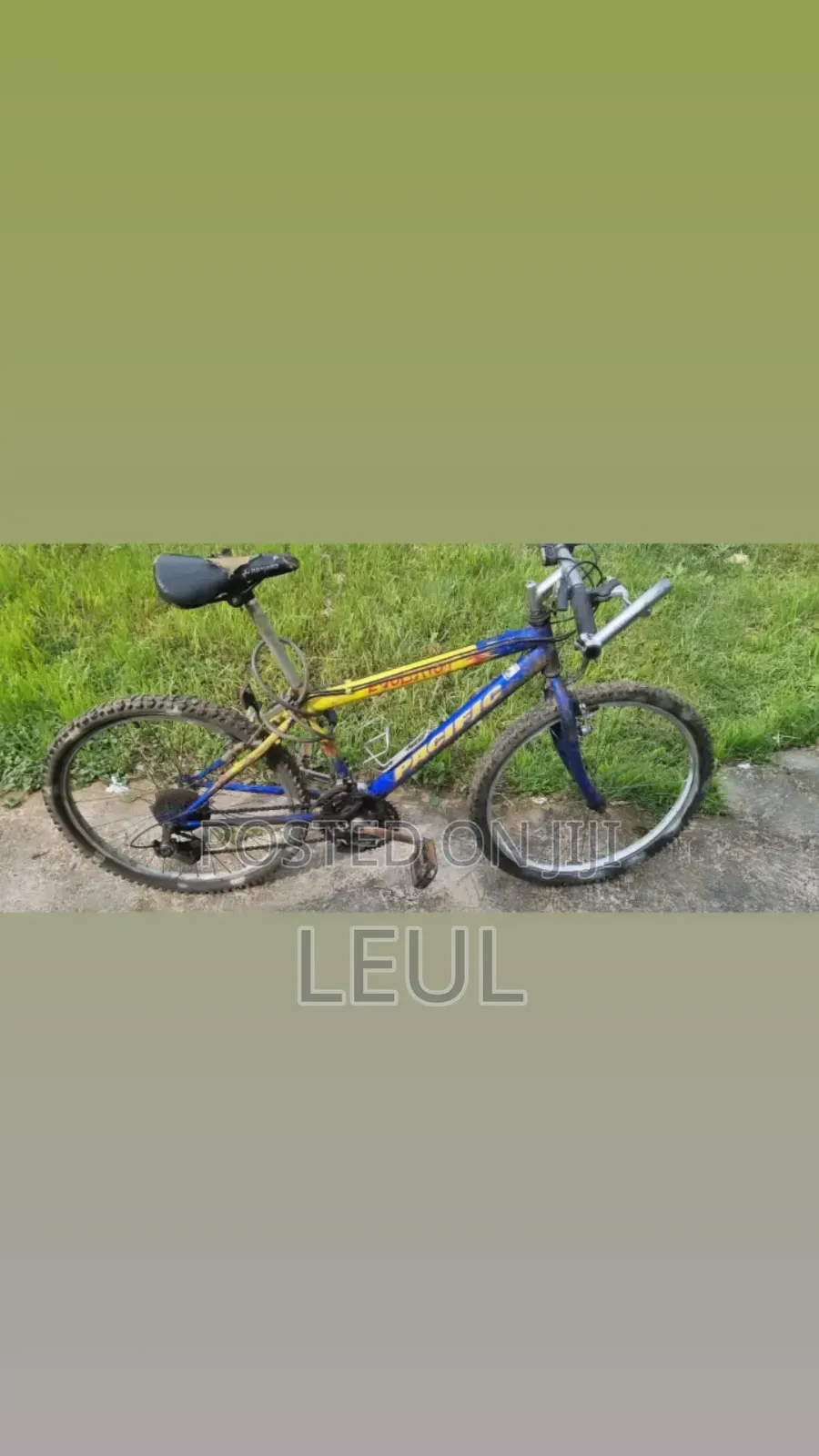 Bicycle Almost New