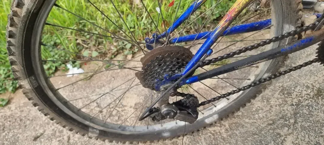 Bicycle Almost New