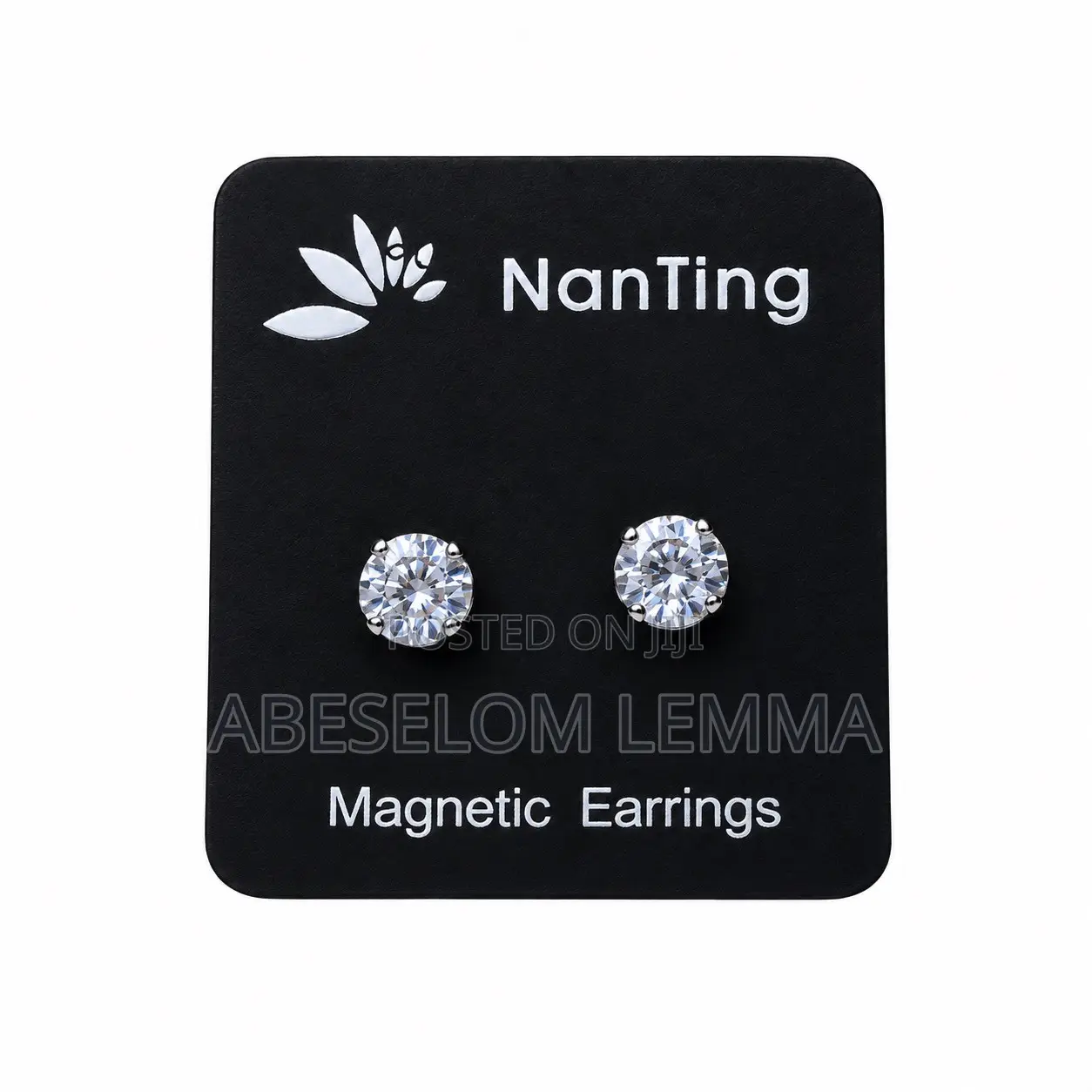 Best Silver Necklace and Magneting Earrings