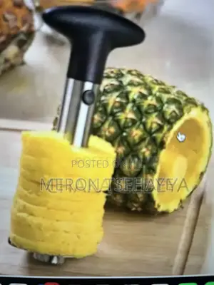 Pineapple Corer and Slicer