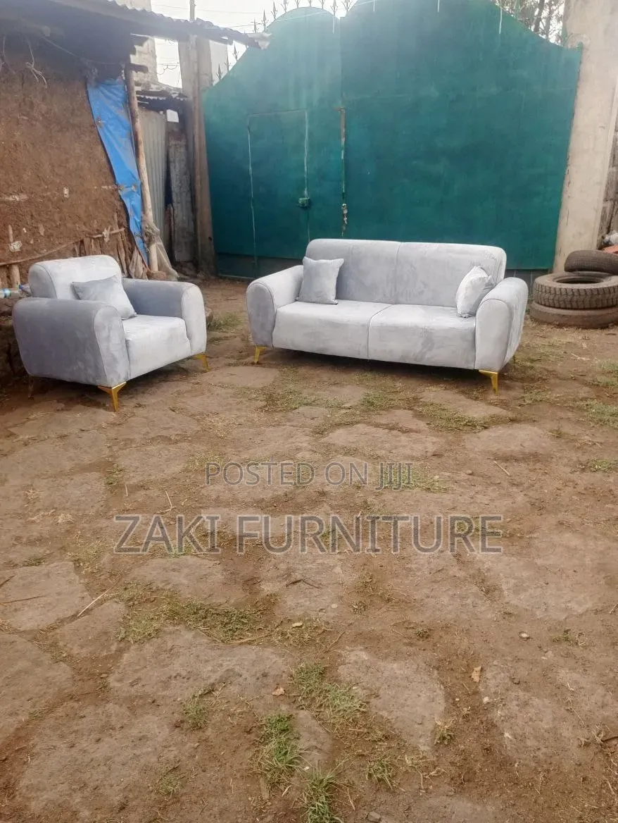Beautiful Modern Sofa
