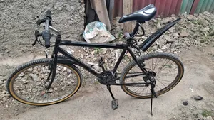 Bicycle for Sell