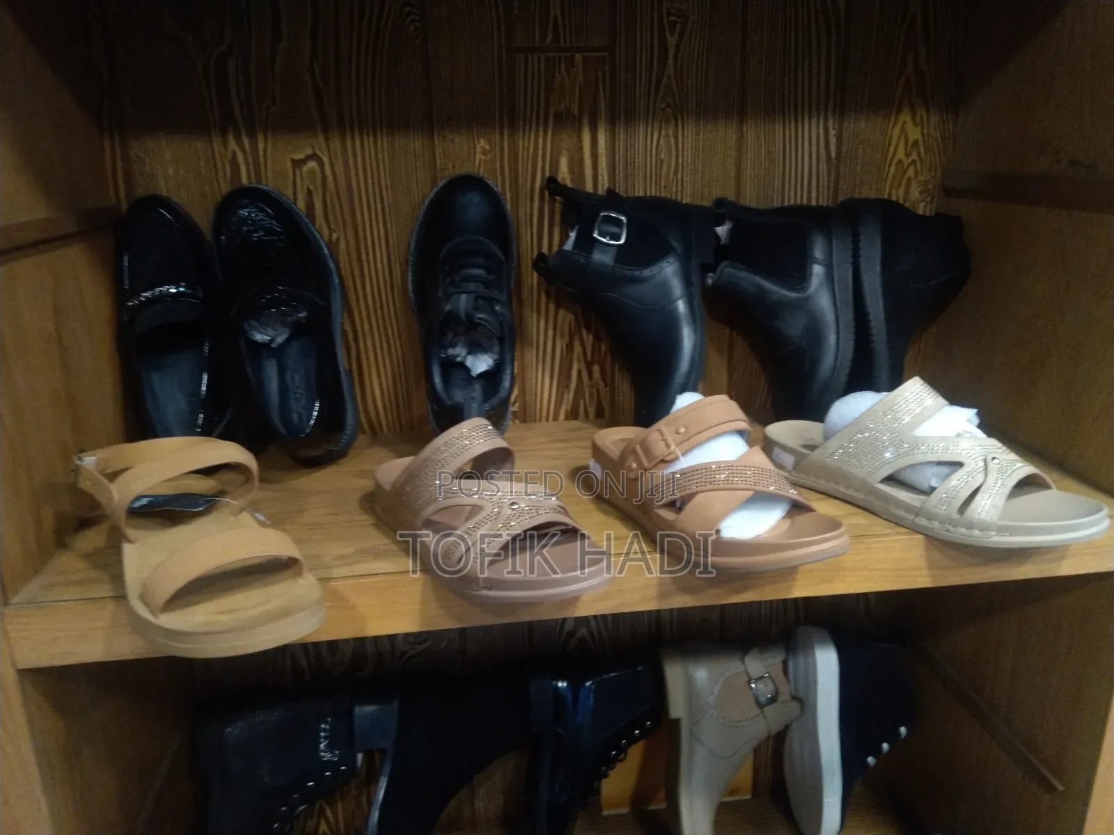 Shark Shoes