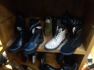 Shark Shoes