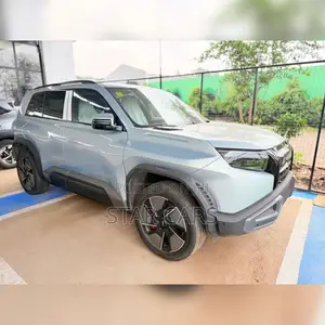 New BYD Leopard 3 Max 2025 Black