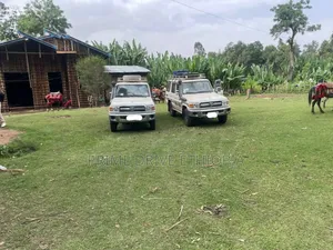 Mark 2 Land Cruiser for Rent