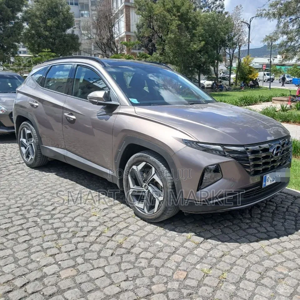 Hyundai Tucson 2021 Brown