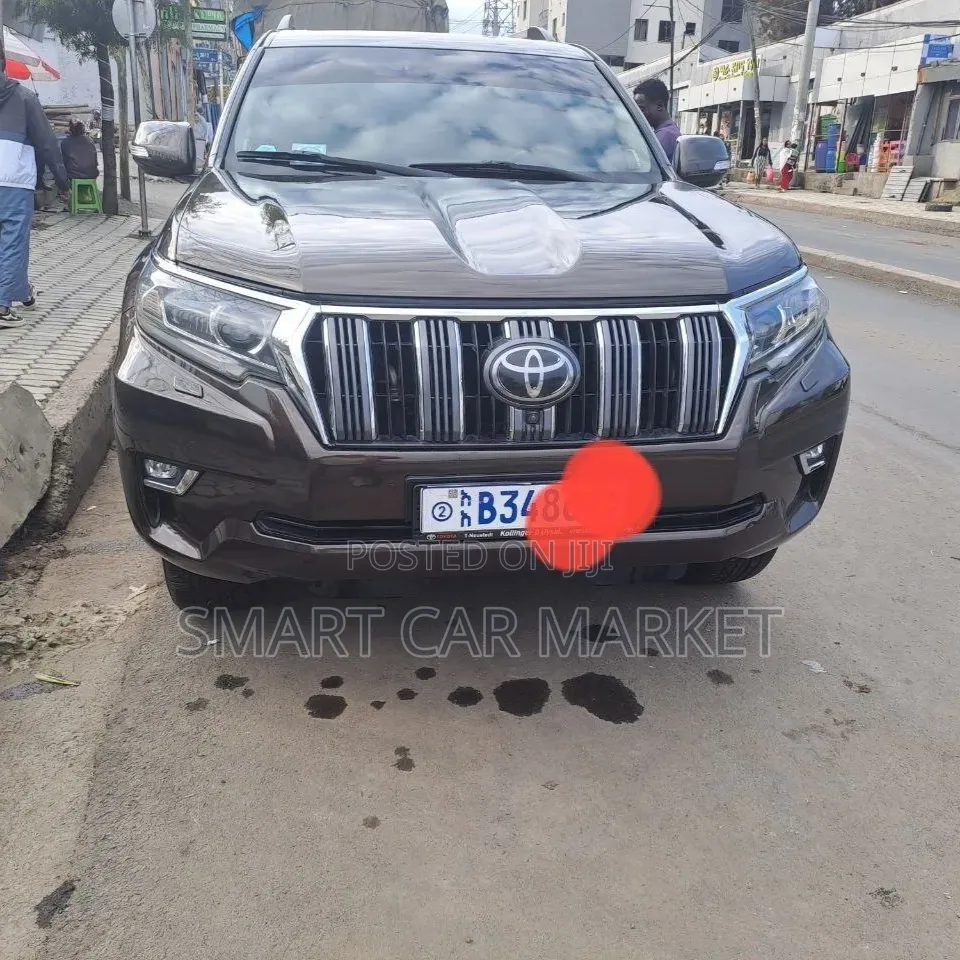 Toyota Land Cruiser 2019 Brown