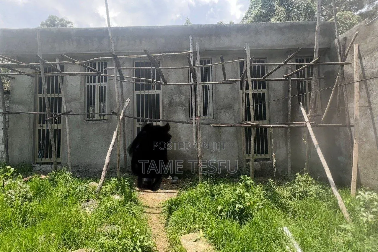 4bdrm House in ሀያት, Bole for sale