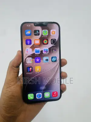 Apple iPhone 15 Pro Max 256 GB Silver