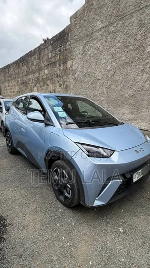BYD Seagull 2024 Blue