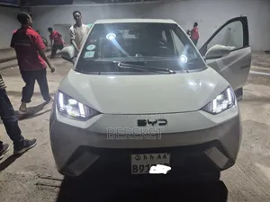 BYD Seagull 2024 White
