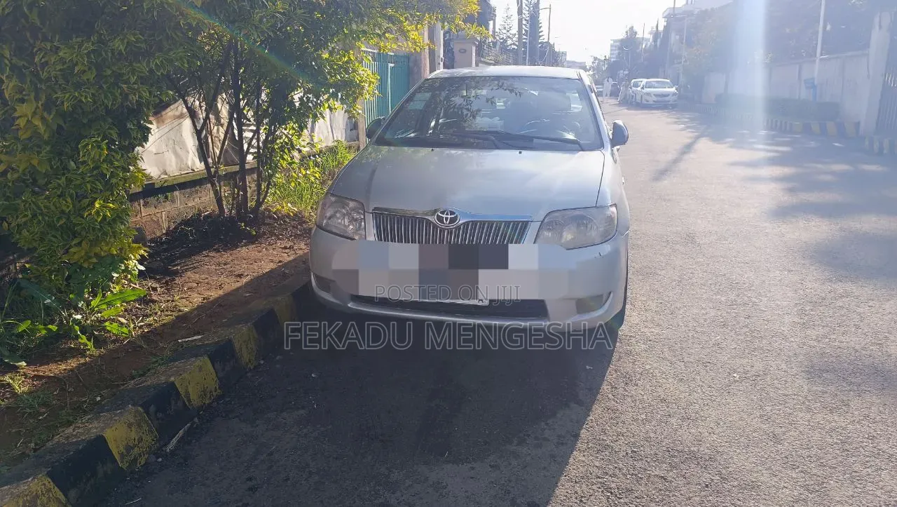 Toyota Corolla 2005 Gray