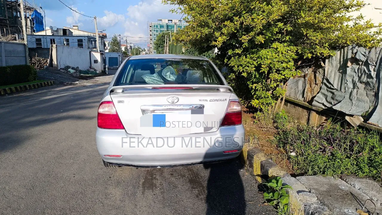 Toyota Corolla 2005 Gray
