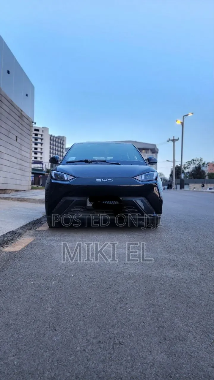 BYD Seagull 38 kWh FWD 2024 Black