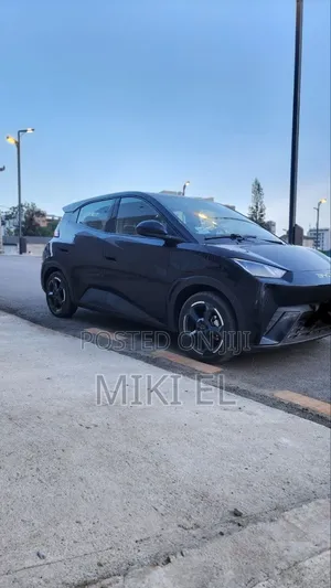 BYD Seagull 38 kWh FWD 2024 Black