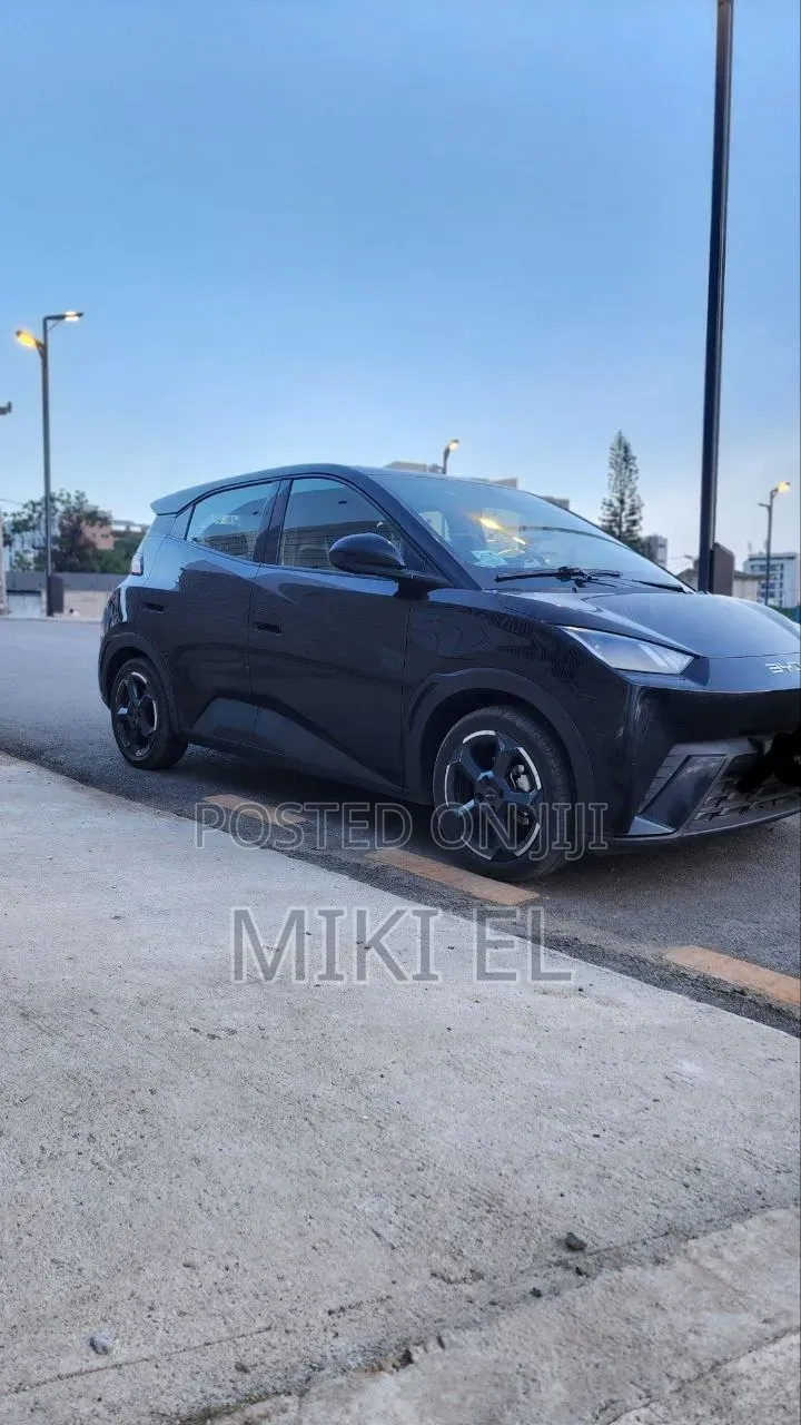 BYD Seagull 38 kWh FWD 2024 Black