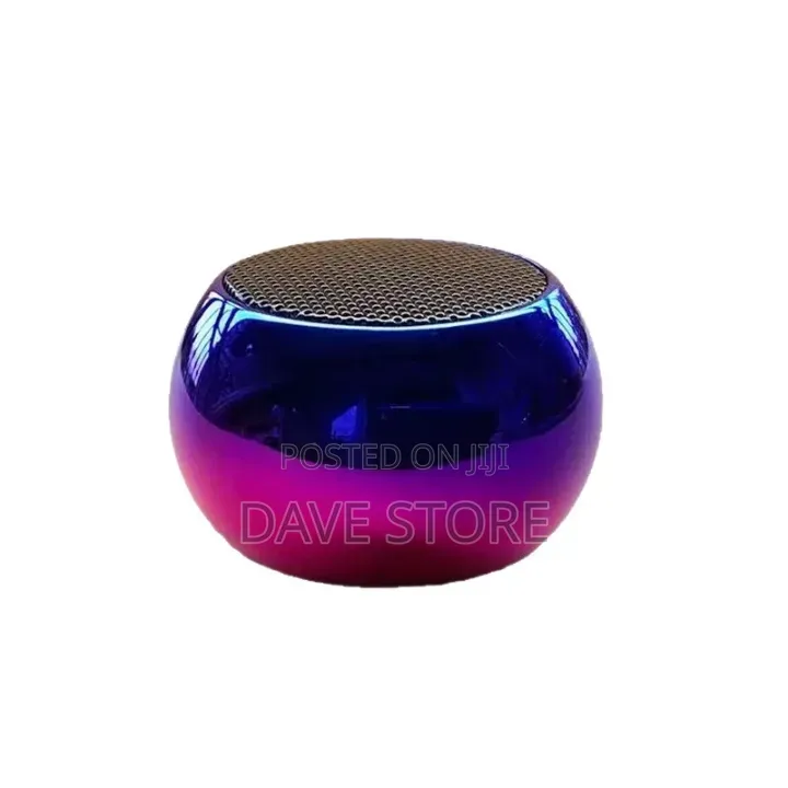 JBL Mini Portable Speaker
