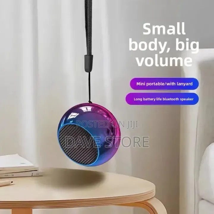 JBL Mini Portable Speaker
