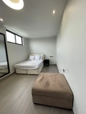 Furnished 3bdrm Apartment in Bole for rent