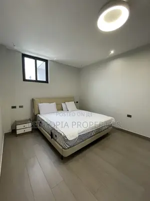 Furnished 3bdrm Apartment in Bole for rent