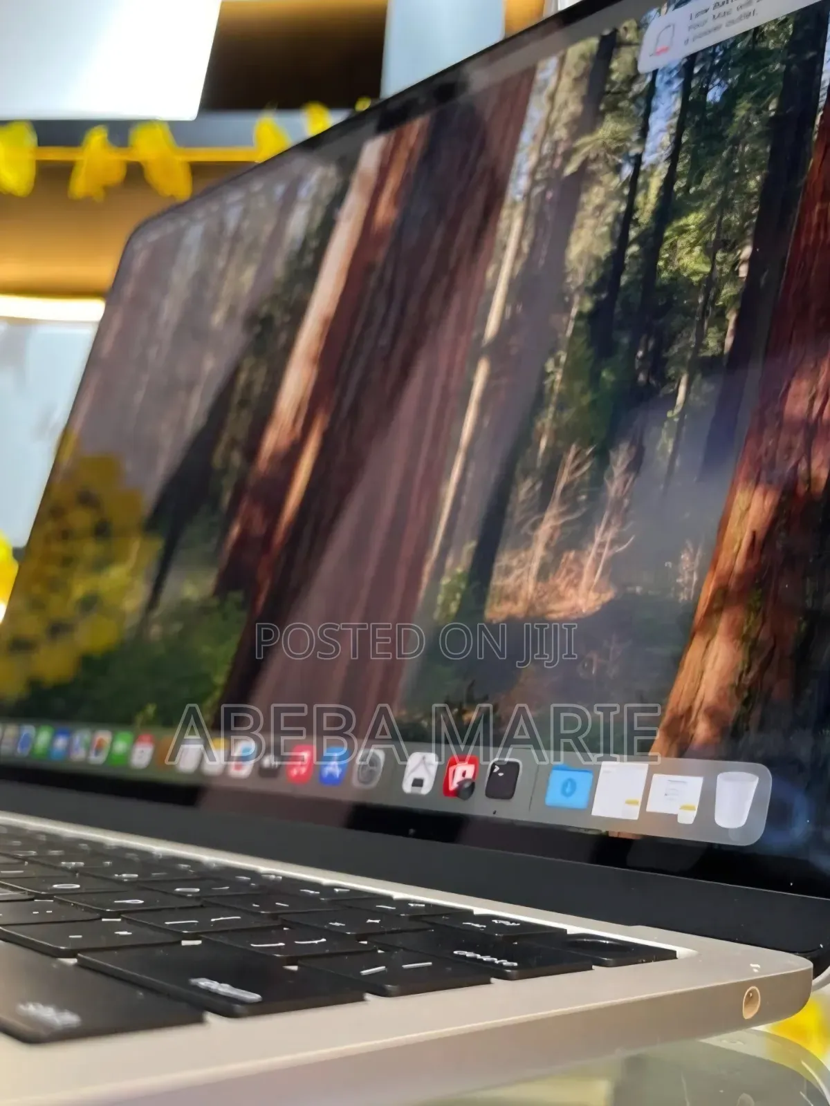 New Laptop Apple MacBook Air 2025 M4 16GB Apple M4 SSD 512GB