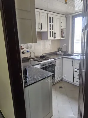 Furnished 2bdrm Condo in Bole for sale