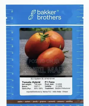 . የቲማቲም ዘር(Bakker Brother Tomato Seed)
