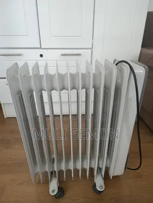 Synergy Oil Filled Radiator Heater, Works Perfectly