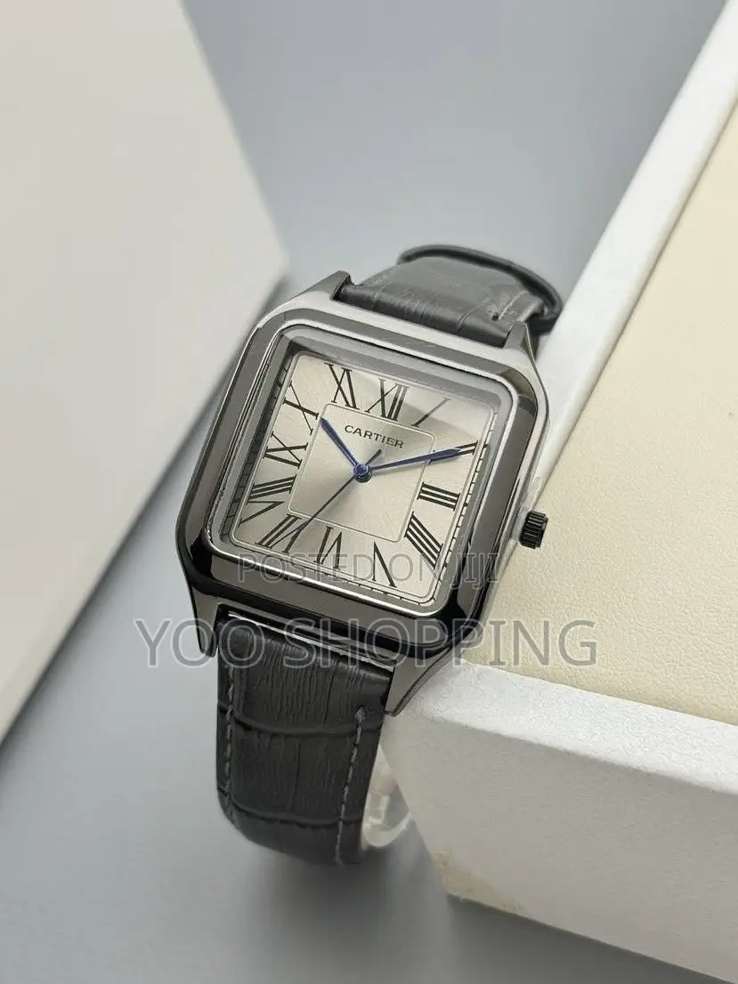 CARTIER SANTOS Watch for Him